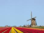 Będzie trudniej odzyskać podatek zapłacony w Holandii
