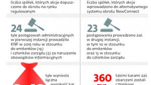 Istotne nieprawidłowości, niewielkie kary