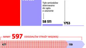Działalność strażników miejskich