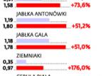 Droższe warzywa wpłyną na inflację