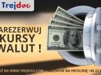 Zabezpieczenie ryzyka walutowego z Trejdoo.com