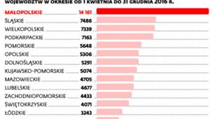 Pomoc dla rodzin