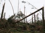 Energetyka liczy szkody w tonach i kilometrach. Naprawa pochłonie nawet 200 mln zł