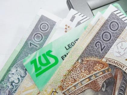 zdjęcie główne
