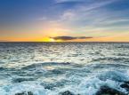 Poznajcie bakterię, która może zatrzymać podbój oceanów