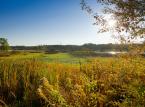 Miało być pole golfowe – będzie las na ok. 60 hektarach