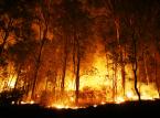 Rząd Australii nie widzi związku między pożarami a zmianą klimatu